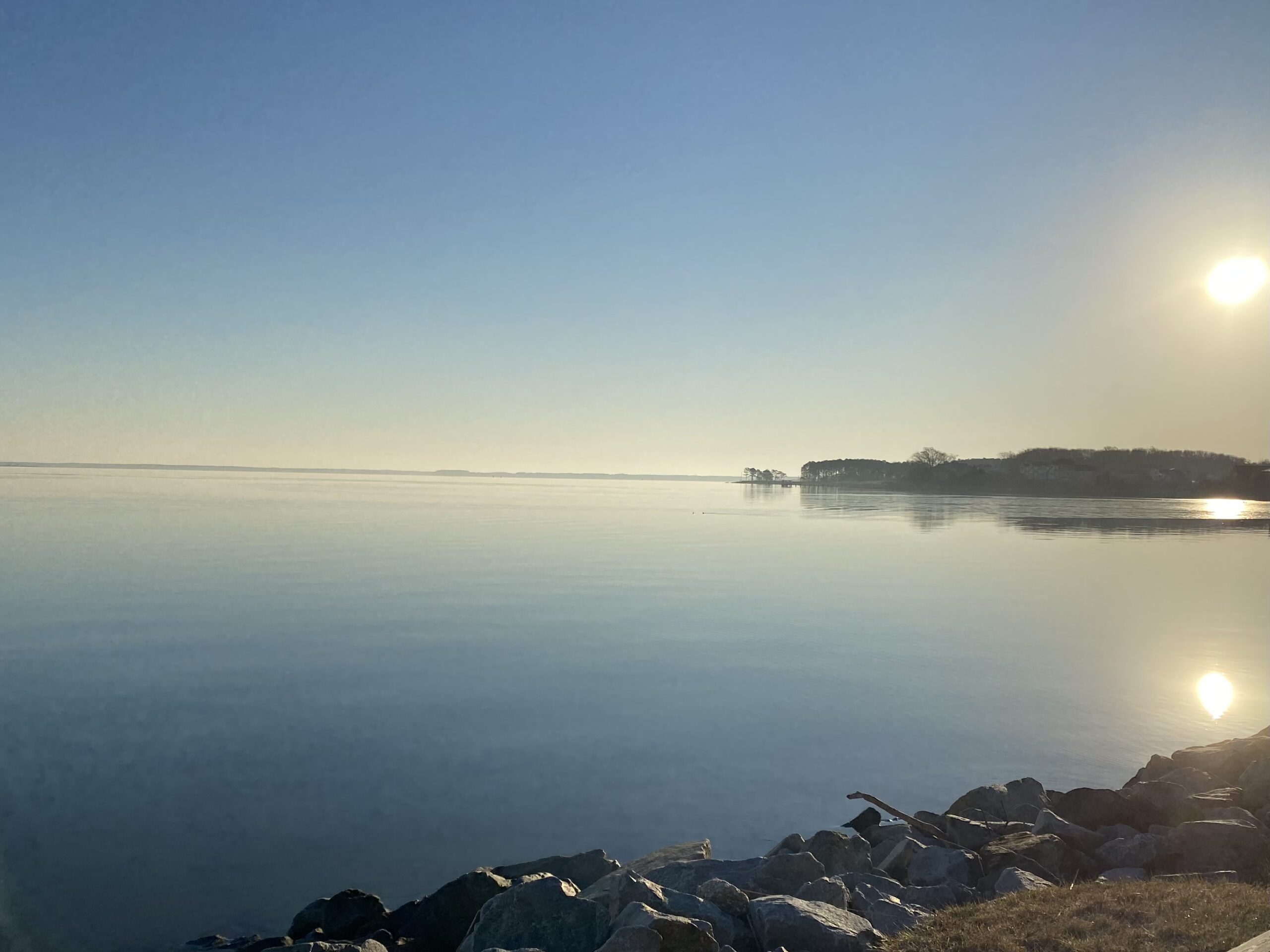 image-20220209-125324-f1afcbfd