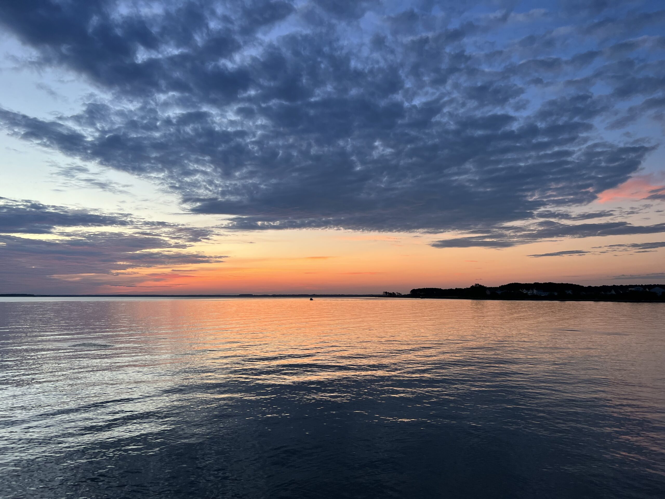 image-20220719-094152-02a69de4